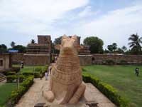 Gangaikonda Cholapuram Nandi Photo