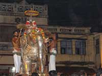 Srirangam Ranganathar Yanai Vaganam