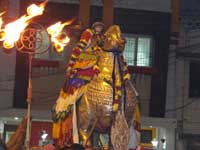 Srirangam Renganathar Annam Vahanam