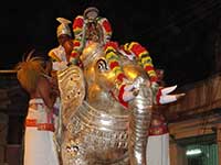 Srirangam Renganathar Yanai Vahanam